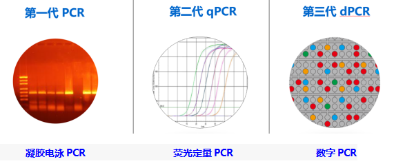 PCR三代.png